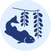 Acquacoltura