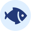 Ecosistemi marini