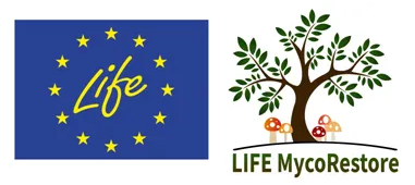 Logo LIFE MycoRestore