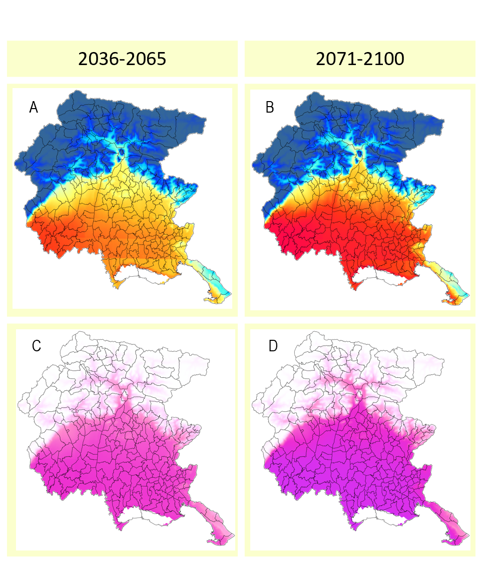 Figura 2 - Andamenti territoriali medi di CDD (sopra A-B) e  anomalia versus 1976-2005 (sotto C-D)  nei periodi 2036-2065 e 2071-2100 da proiezioni climatiche nello scenari emissivo RCP 4.5 